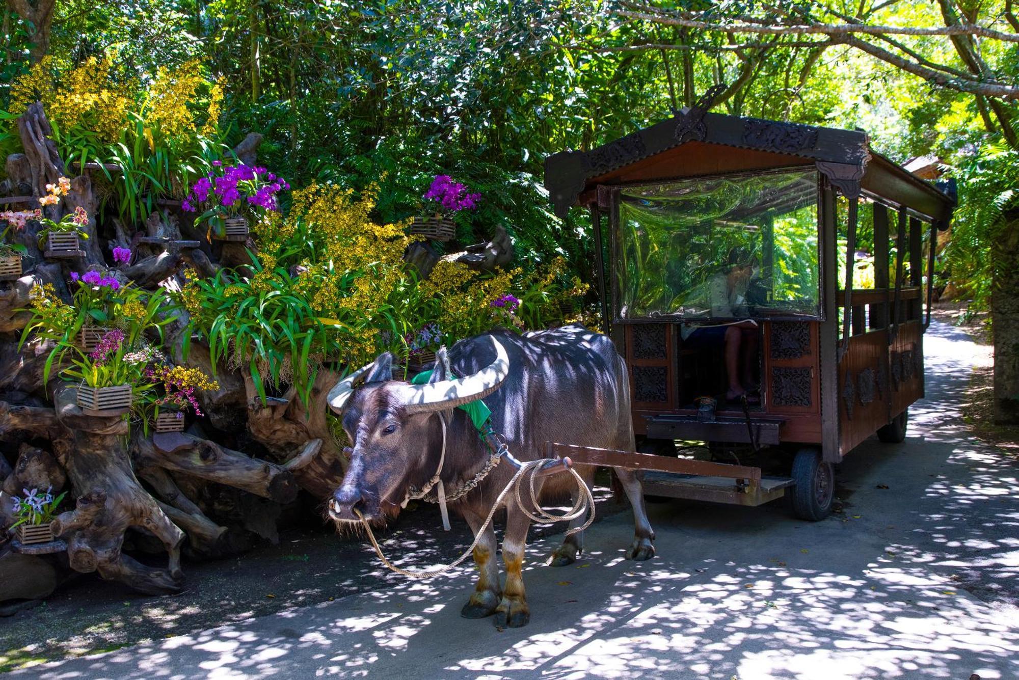 新規オープン サウナ Bbq ジャグジー付き 最大7名 無料駐車場4台 ビーチまで車で5分 Sky House Villa Uruma Ngoại thất bức ảnh